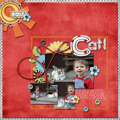 Cat