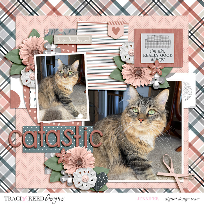 Catastic