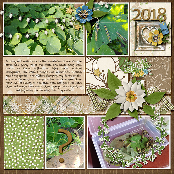 Caterpillars