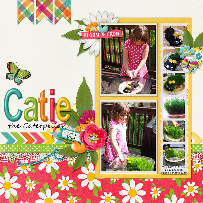 Catie the Caterpillar