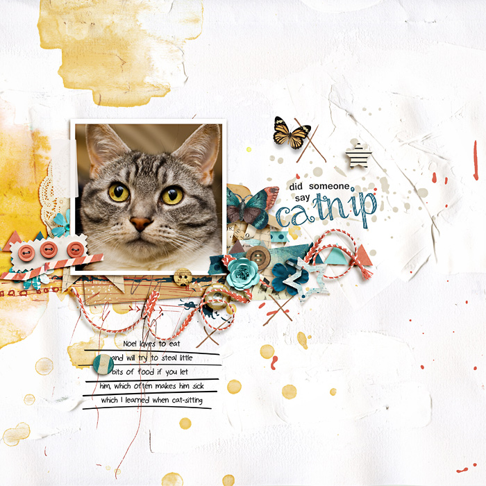 Catnip