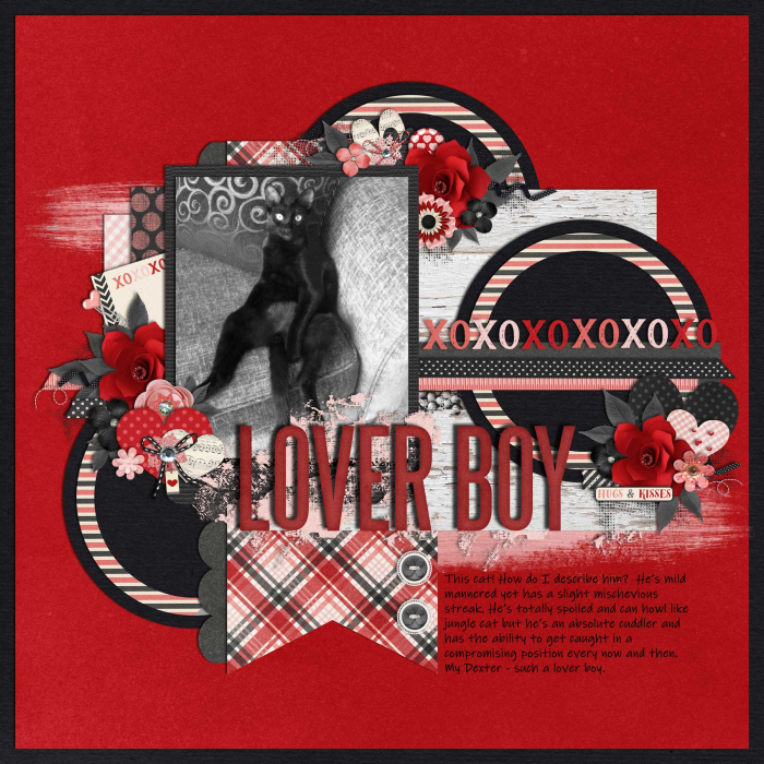 Cats - Dexter - Lover Boy