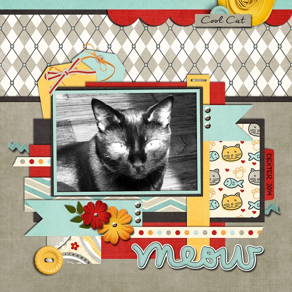 Cats - Dexter