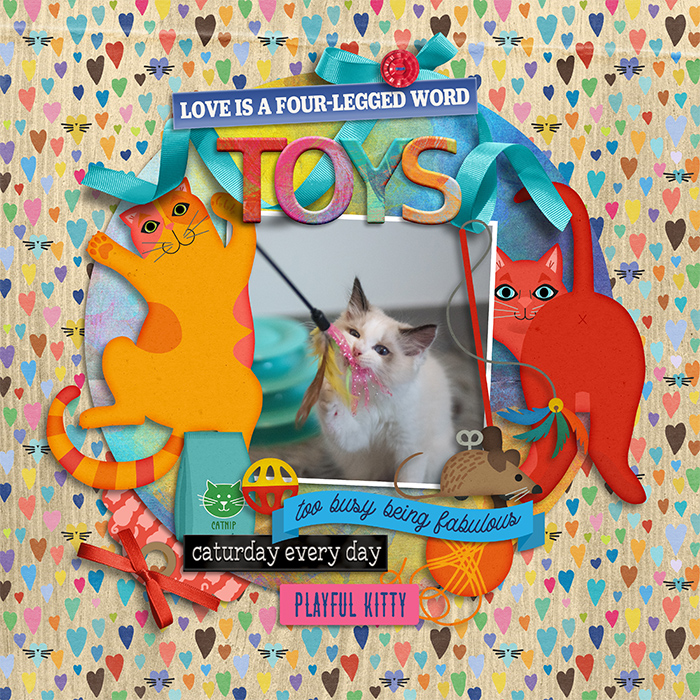 Cat's Toys bring Joys
