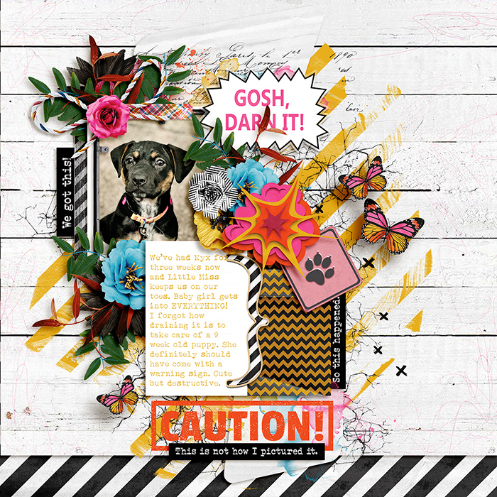 Caution! Warning!