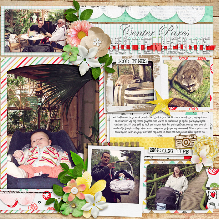 Center Parcs2