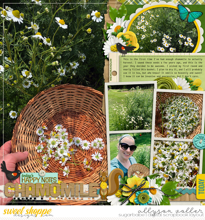 Chamomile