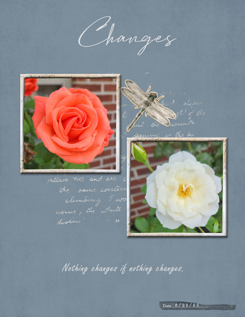 Changes