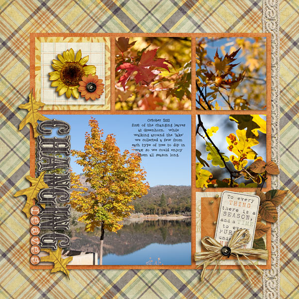 Changing Leaves