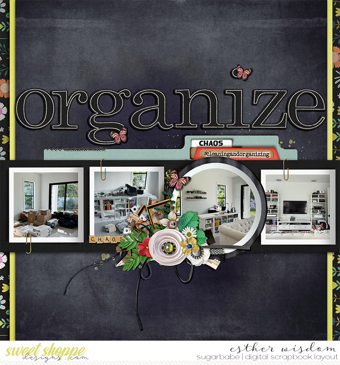 Chaos Organizer