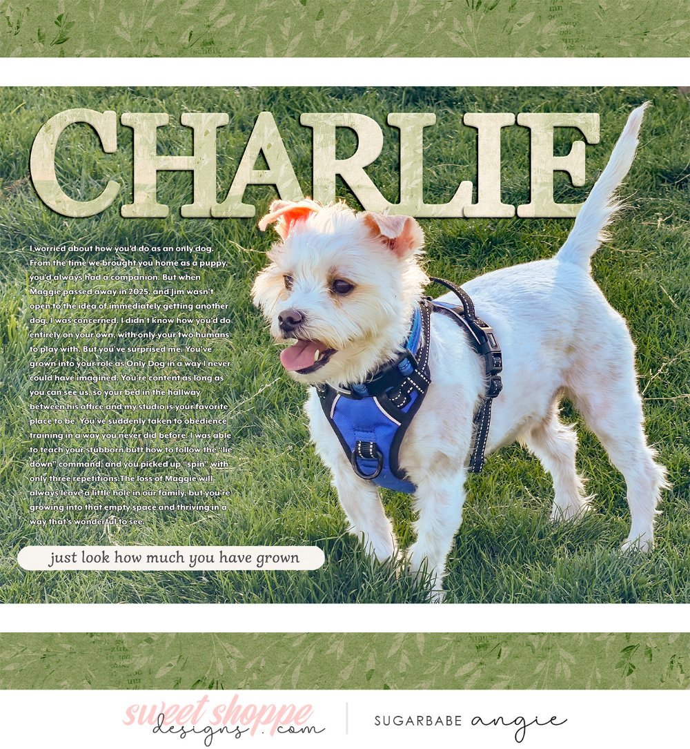 Charlie