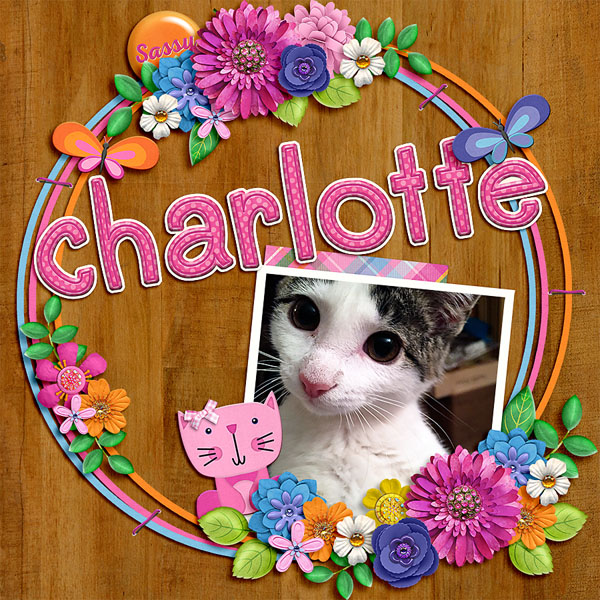 charlotte