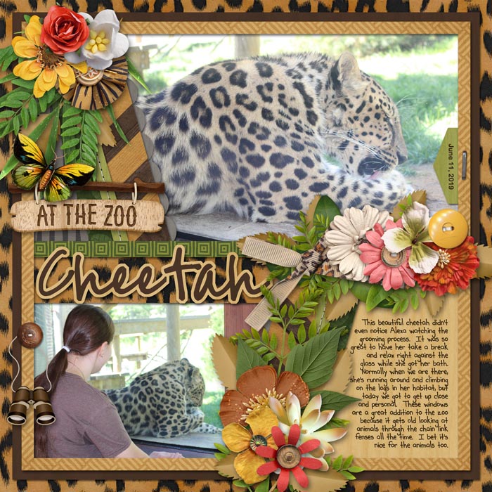 Cheetah