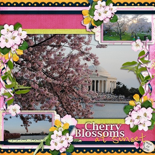 Cherry Blossom at Sunset