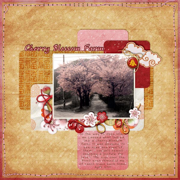 Cherry Blossom Farm