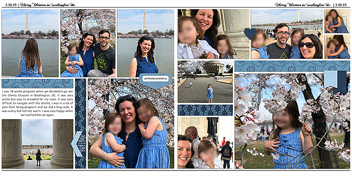 Cherry Blossom in Washington
