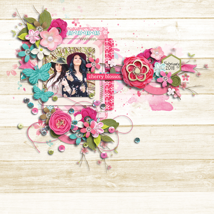 Cherry Blossom