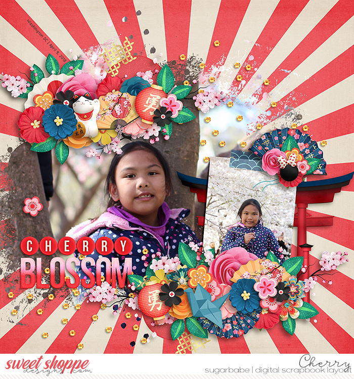 Cherry Blossom