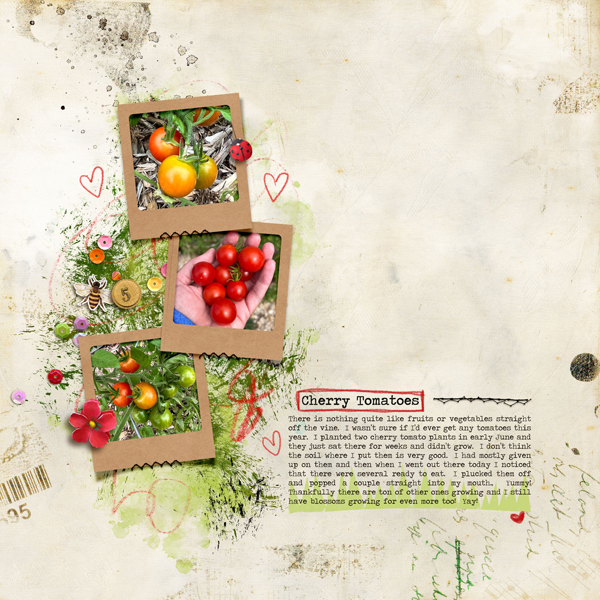 Cherry Tomatoes