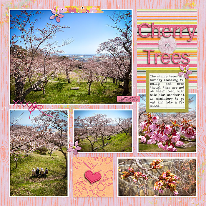 Cherry Trees