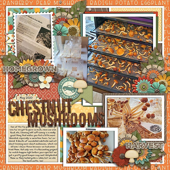 Chestnut Mushrooms