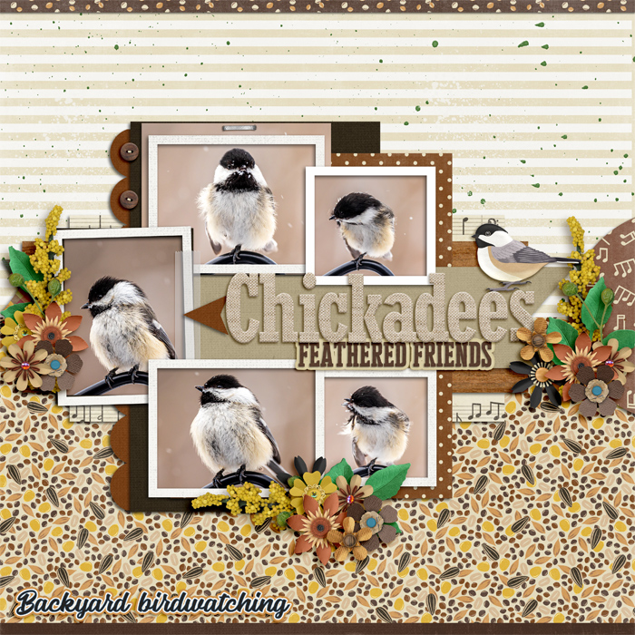 Chickadees
