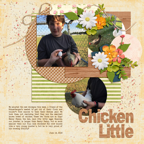 Chicken Little July 2018 Bingo #16