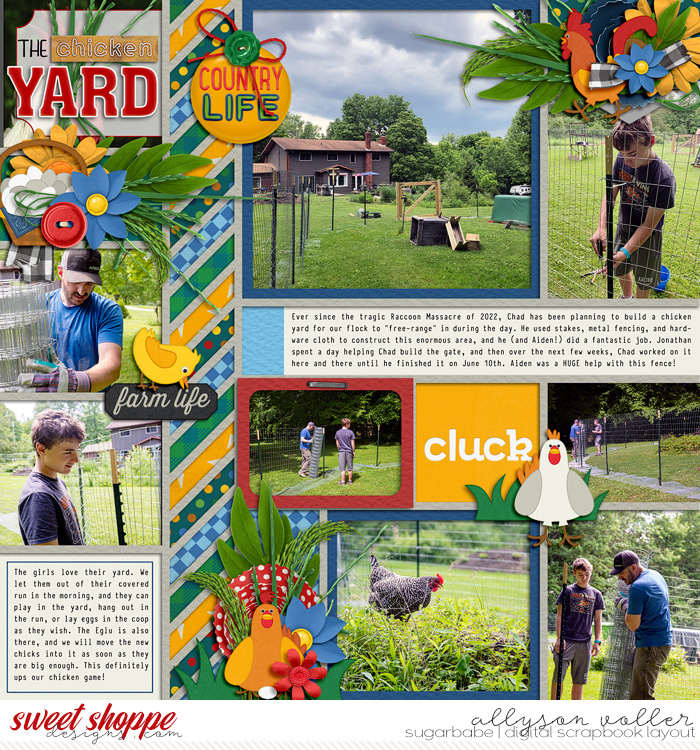 Chicken Yard