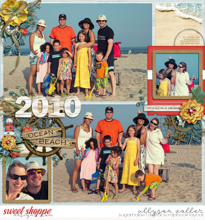Chincoteague 2010 cover