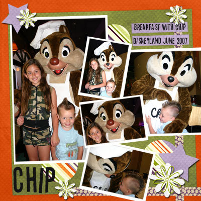 Chip