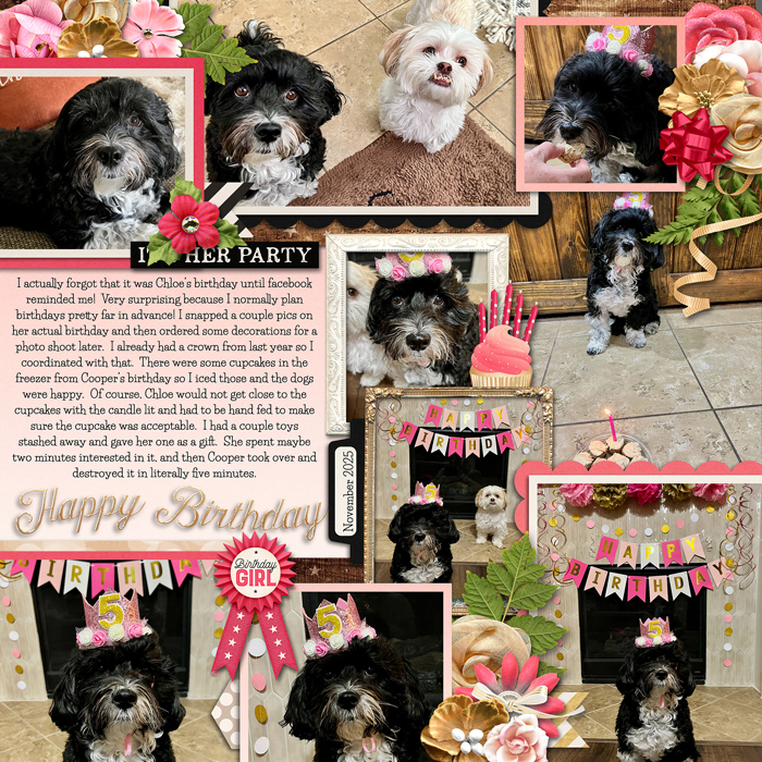 Chloe is 5