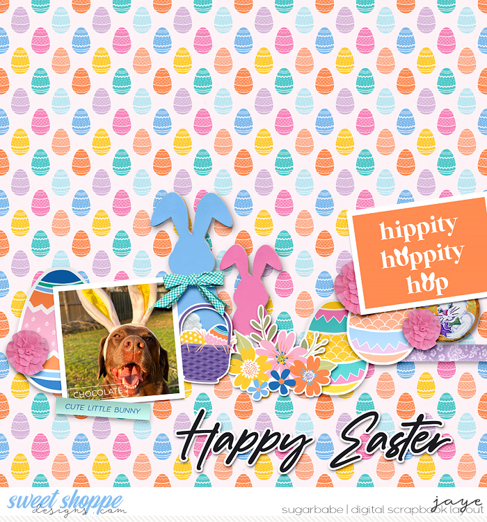 Chocolate Bunny
