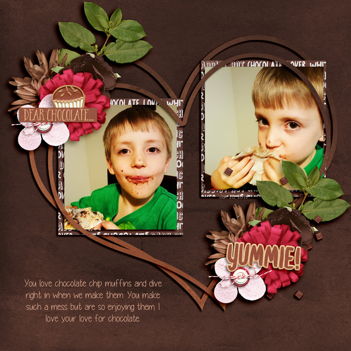 Chocolate Muffins