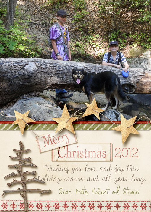 Christmas card 2012