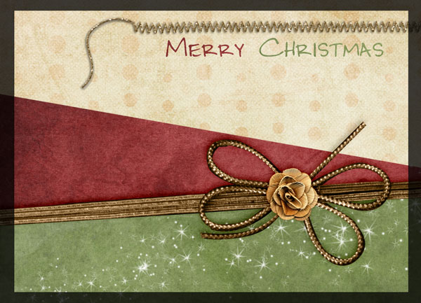 Christmas Cards 2010 :: Traci & Penny II