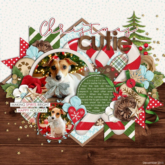Christmas Cutie