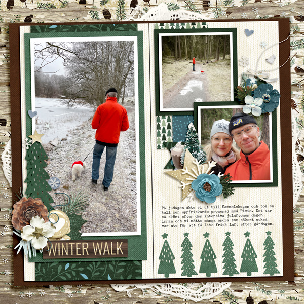 Christmas Day Winter Walk