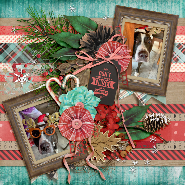 Christmas Fun