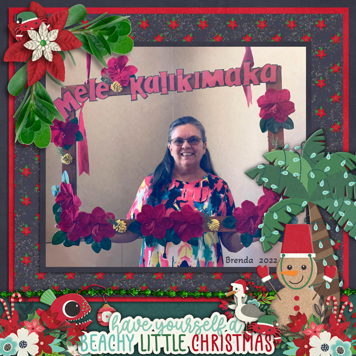 Christmas Fun