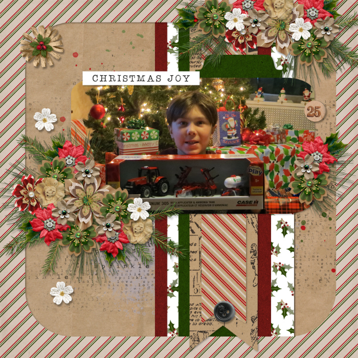 Christmas Joy