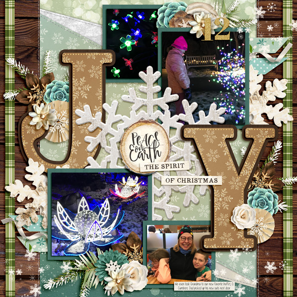 Christmas Lights 2018 pg 3