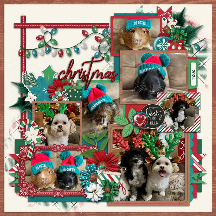 Christmas pets 2024
