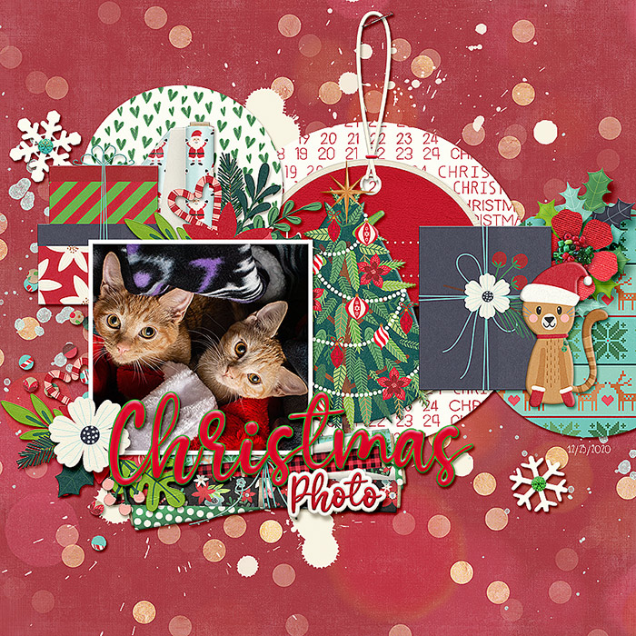 Christmas Photo