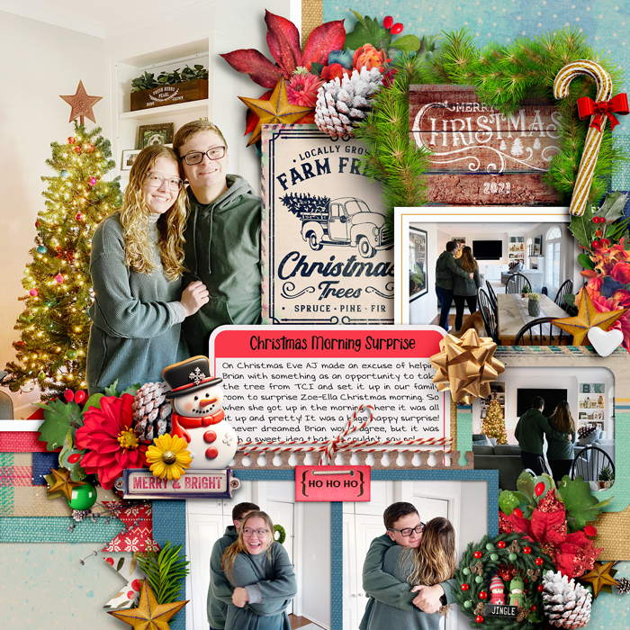 Christmas Surprise