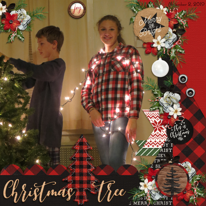 Christmas Tree {2019}