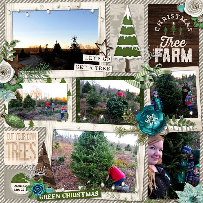Christmas Tree Farm