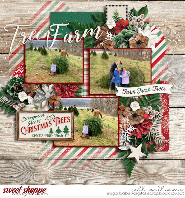Christmas Tree Farm