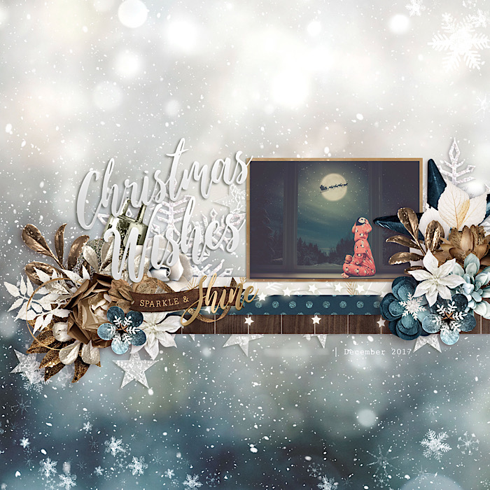 Christmas Wishes
