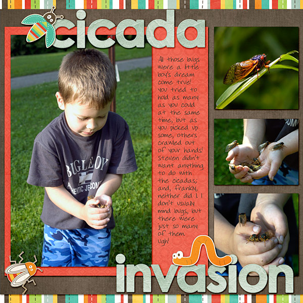 Cicada Invasion