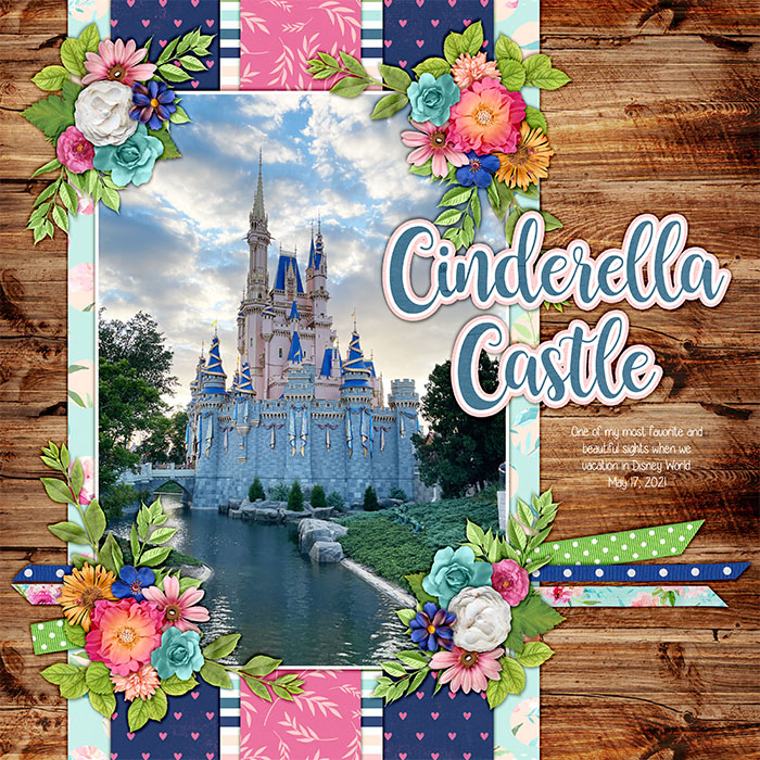 Cinderella Castle